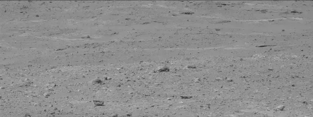 Sol 387: Mast Camera (Mastcam)