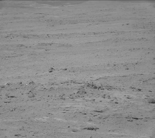 Sol 387: Mast Camera (Mastcam)