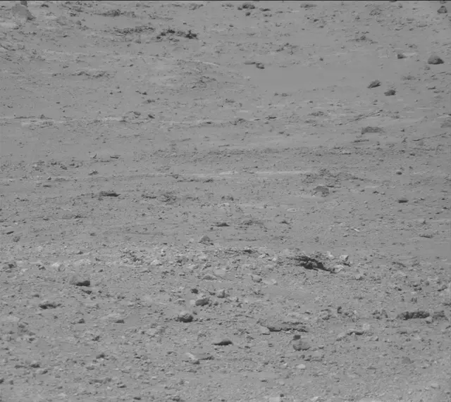 Sol 387: Mast Camera (Mastcam)