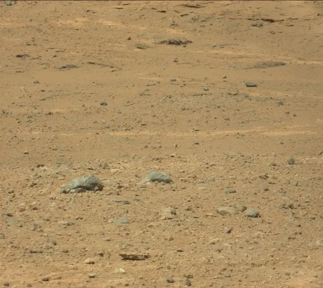 Sol 387: Mast Camera (Mastcam)