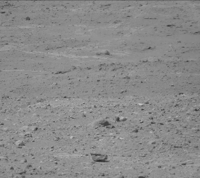 Sol 387: Mast Camera (Mastcam)