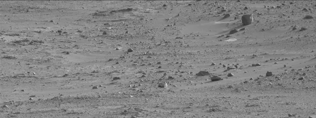 Sol 388: Mast Camera (Mastcam)