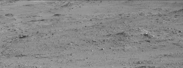 Sol 388: Mast Camera (Mastcam)