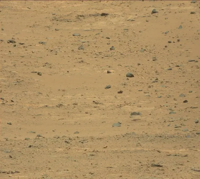 Sol 388: Mast Camera (Mastcam)
