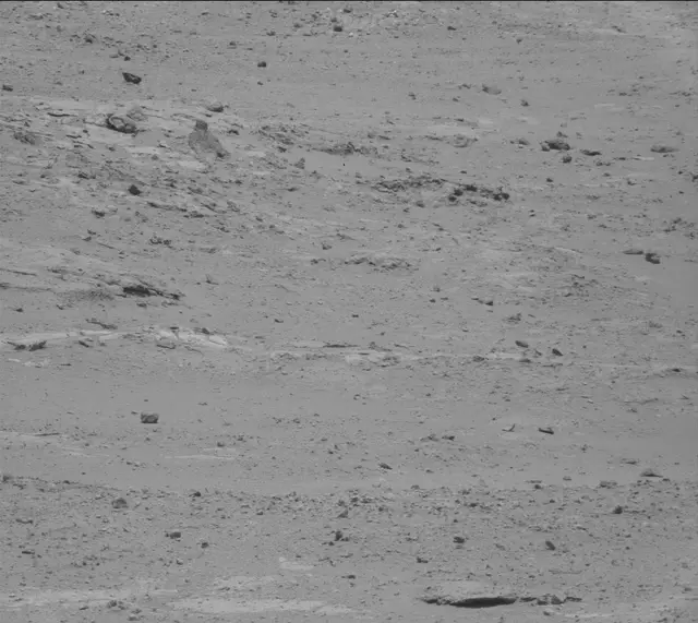 Sol 388: Mast Camera (Mastcam)