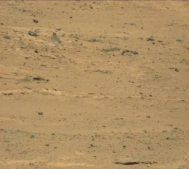 Sol 388: Mast Camera (Mastcam)