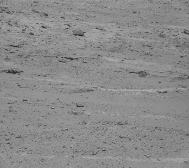 Sol 388: Mast Camera (Mastcam)
