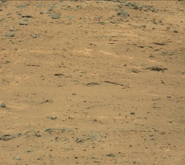 Sol 388: Mast Camera (Mastcam)