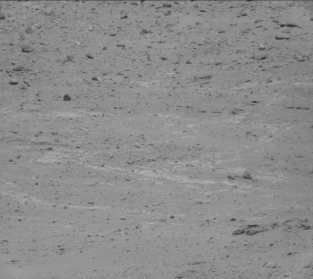 Sol 388: Mast Camera (Mastcam)