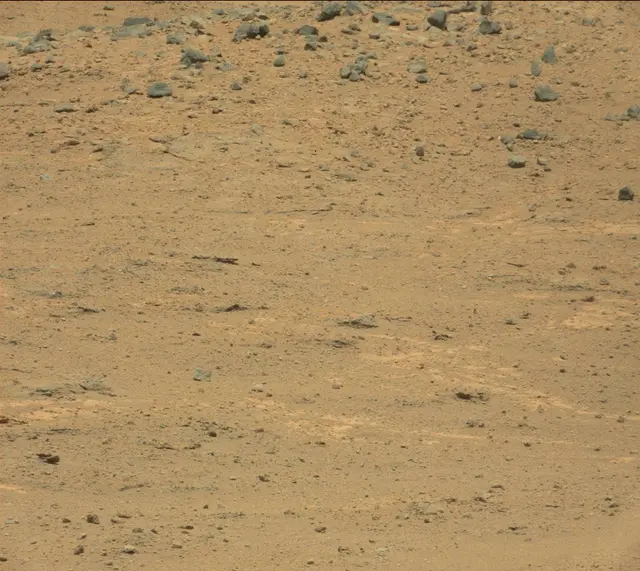 Sol 388: Mast Camera (Mastcam)