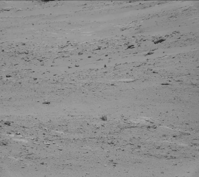 Sol 388: Mast Camera (Mastcam)