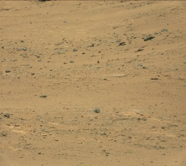 Sol 388: Mast Camera (Mastcam)