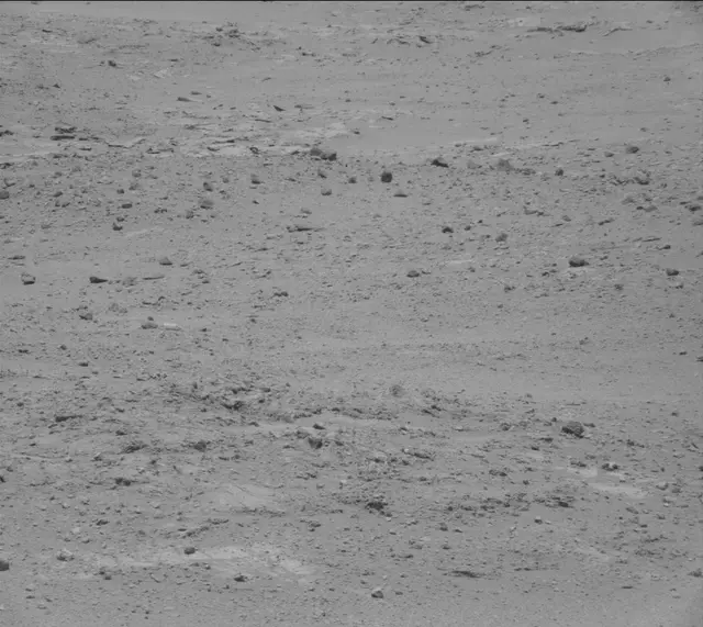 Sol 388: Mast Camera (Mastcam)