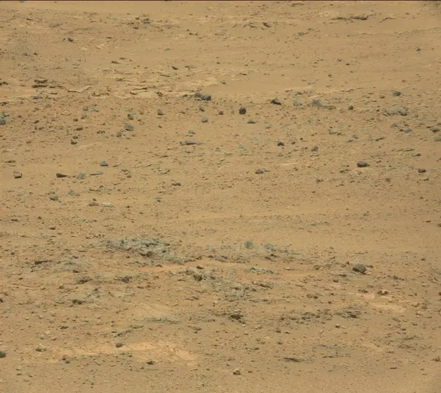 Sol 388: Mast Camera (Mastcam)