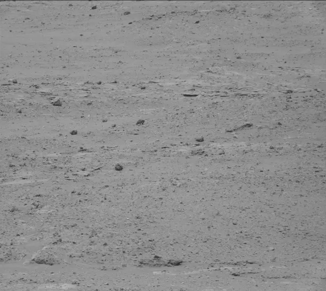 Sol 388: Mast Camera (Mastcam)