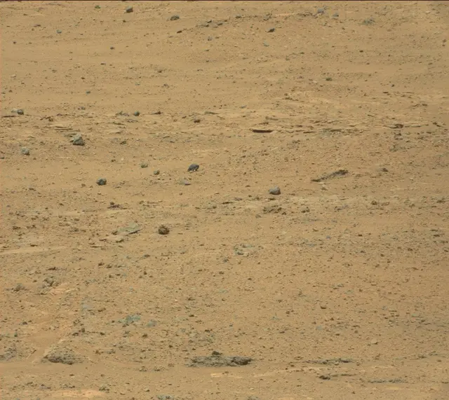Sol 388: Mast Camera (Mastcam)