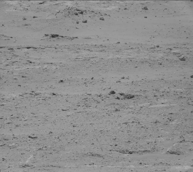 Sol 388: Mast Camera (Mastcam)