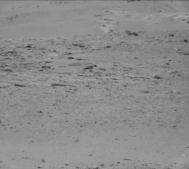 Sol 388: Mast Camera (Mastcam)