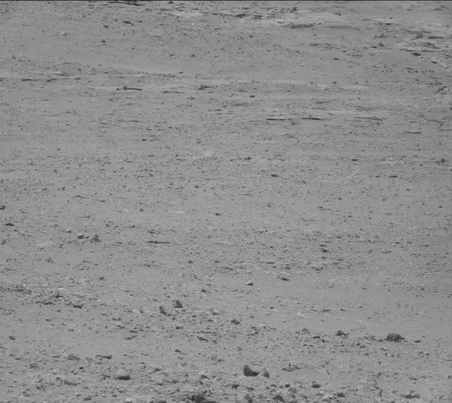 Sol 388: Mast Camera (Mastcam)