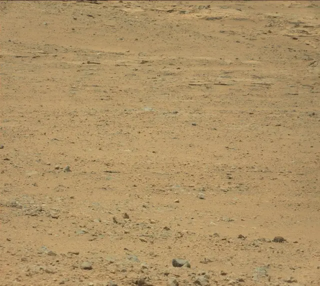 Sol 388: Mast Camera (Mastcam)