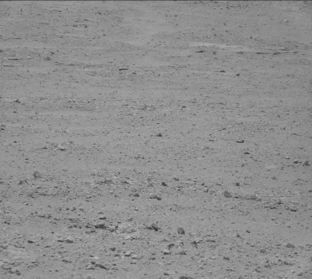 Sol 388: Mast Camera (Mastcam)