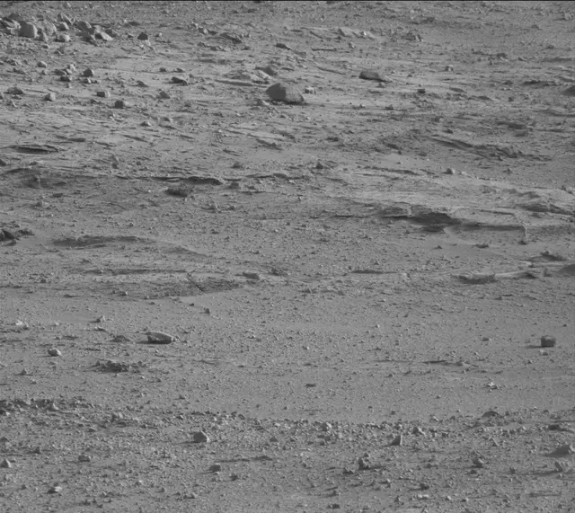Sol 388: Mast Camera (Mastcam)