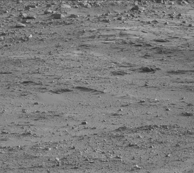 Sol 388: Mast Camera (Mastcam)
