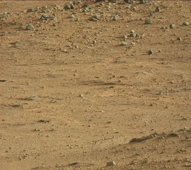Sol 388: Mast Camera (Mastcam)