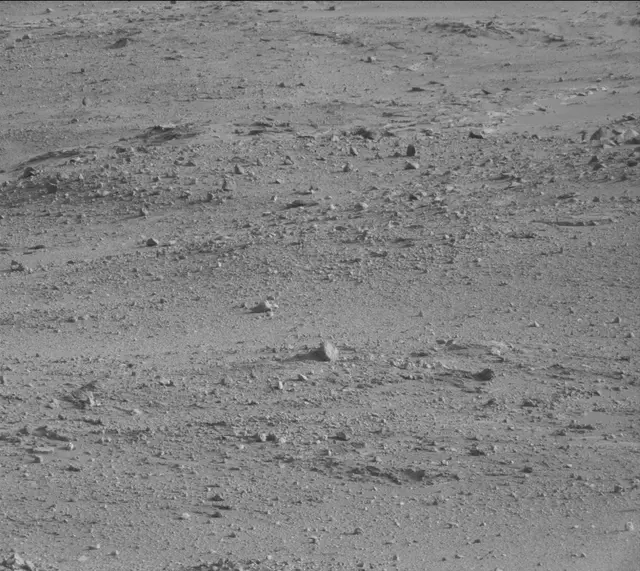 Sol 388: Mast Camera (Mastcam)