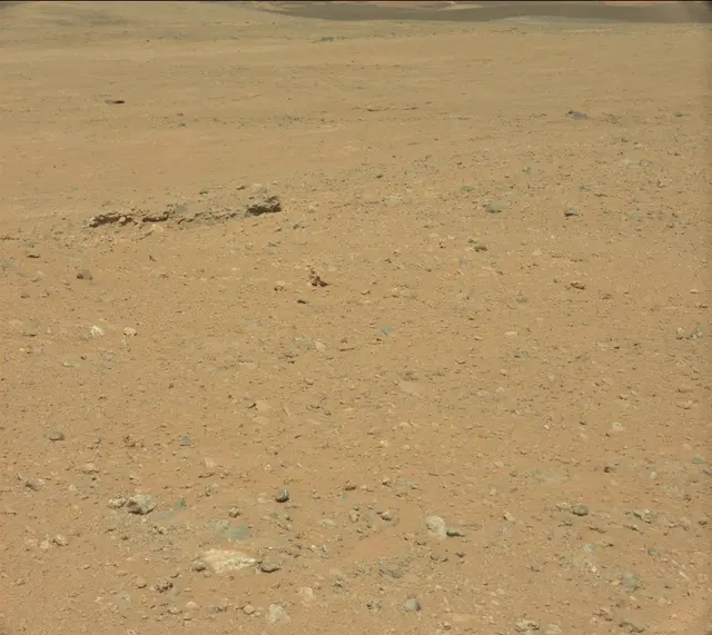 Sol 389: Mast Camera (Mastcam)