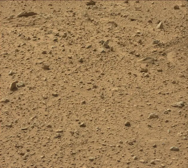 Sol 389: Mast Camera (Mastcam)