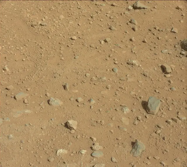 Sol 389: Mast Camera (Mastcam)