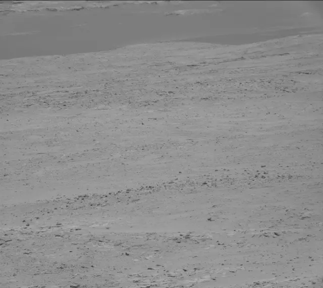 Sol 389: Mast Camera (Mastcam)