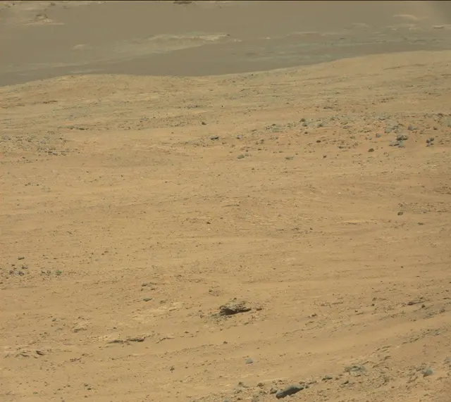 Sol 389: Mast Camera (Mastcam)