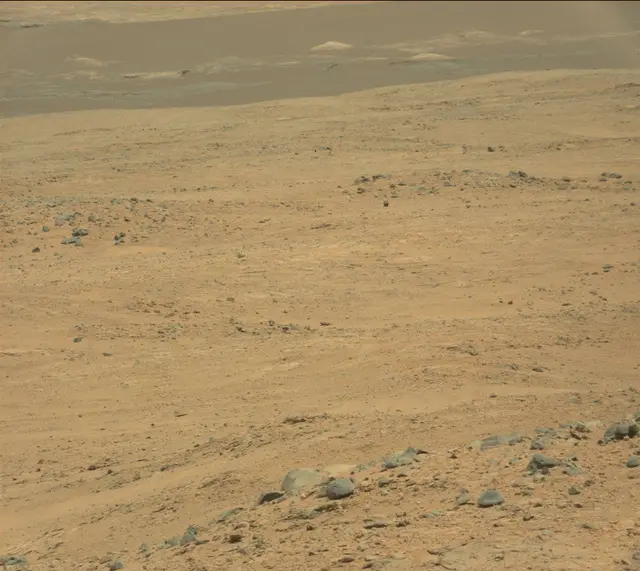 Sol 389: Mast Camera (Mastcam)