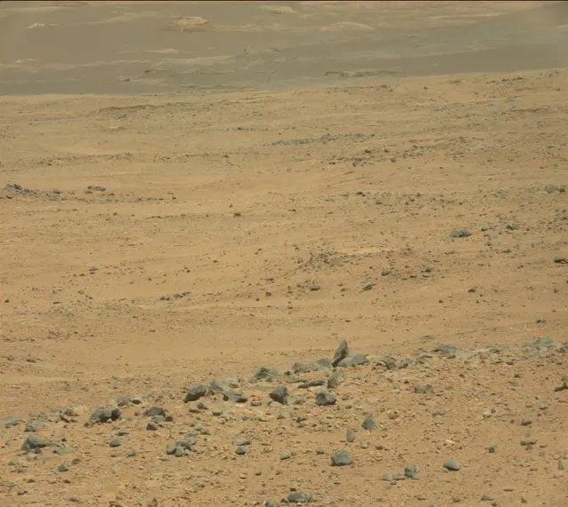 Sol 389: Mast Camera (Mastcam)