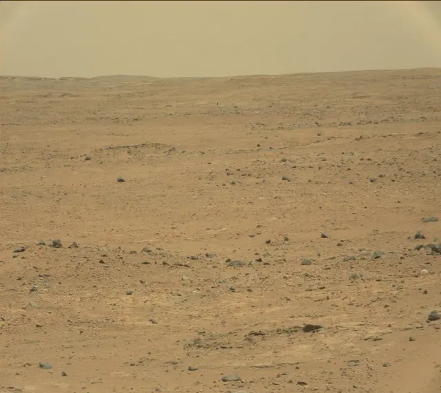 Sol 389: Mast Camera (Mastcam)
