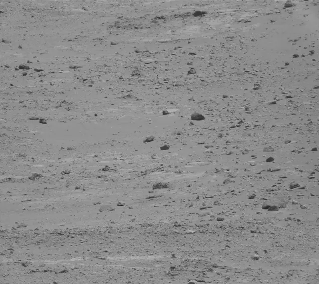 Sol 389: Mast Camera (Mastcam)