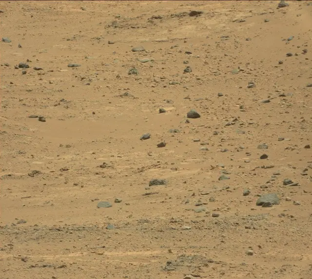 Sol 389: Mast Camera (Mastcam)