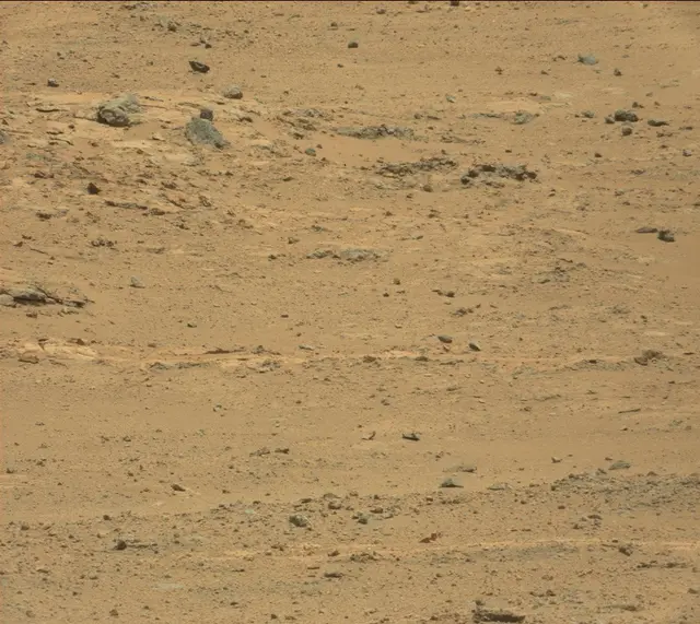 Sol 389: Mast Camera (Mastcam)