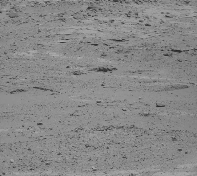 Sol 389: Mast Camera (Mastcam)