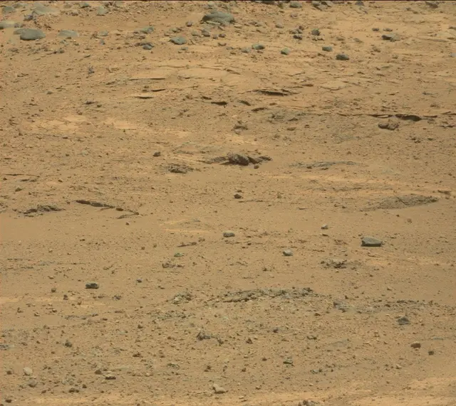 Sol 389: Mast Camera (Mastcam)