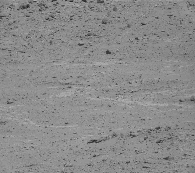 Sol 389: Mast Camera (Mastcam)