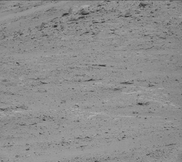 Sol 389: Mast Camera (Mastcam)