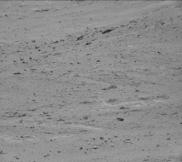 Sol 389: Mast Camera (Mastcam)