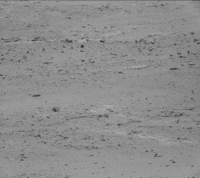 Sol 389: Mast Camera (Mastcam)