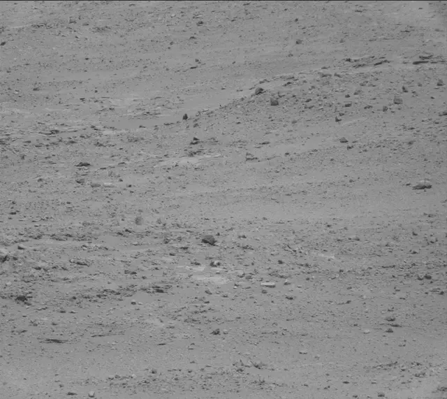 Sol 389: Mast Camera (Mastcam)