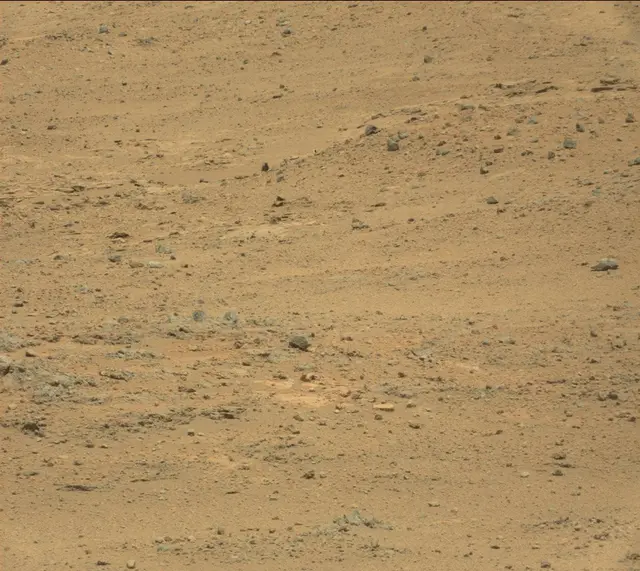Sol 389: Mast Camera (Mastcam)