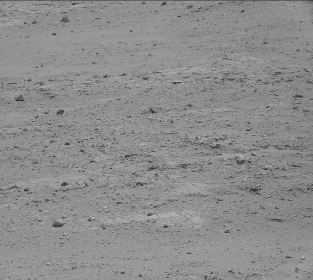 Sol 389: Mast Camera (Mastcam)