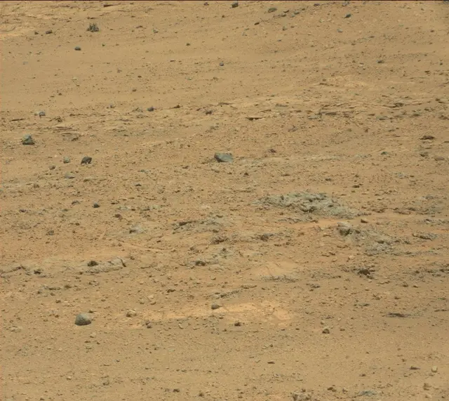 Sol 389: Mast Camera (Mastcam)